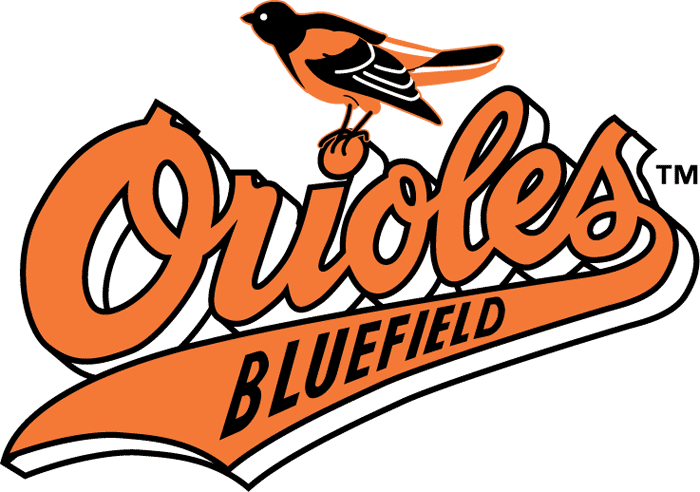 Bluefield Orioles 1993-2010 Primary Logo iron on transfers for T-shirts